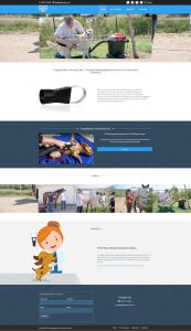 landing-page-compressed 3